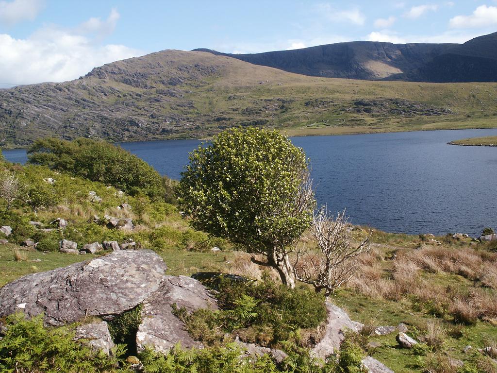 Bru Na Dromoda/Dromid Hostel Killeenleagh Bridge 외부 사진